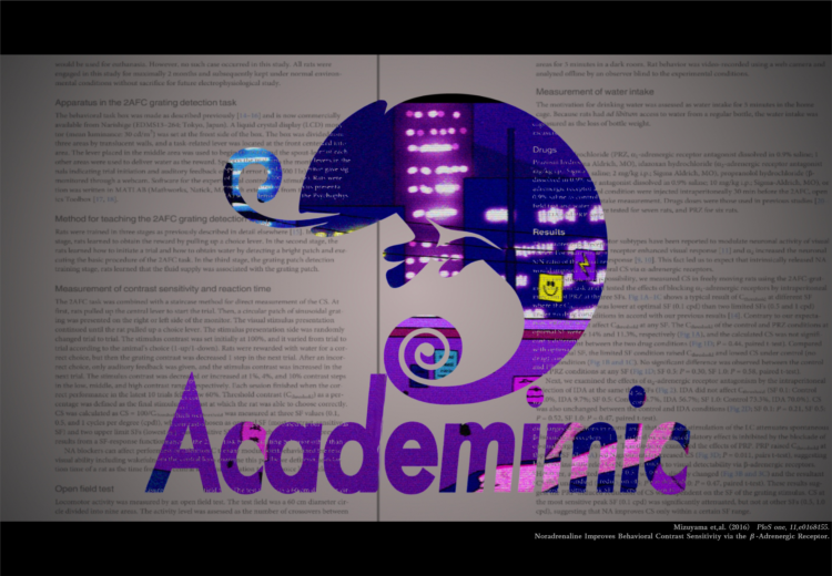 academimic_digshibuya4